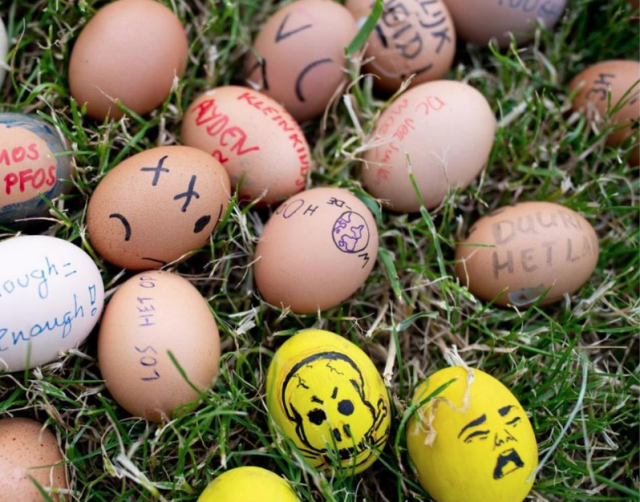 Intussen in Zwijndrecht.